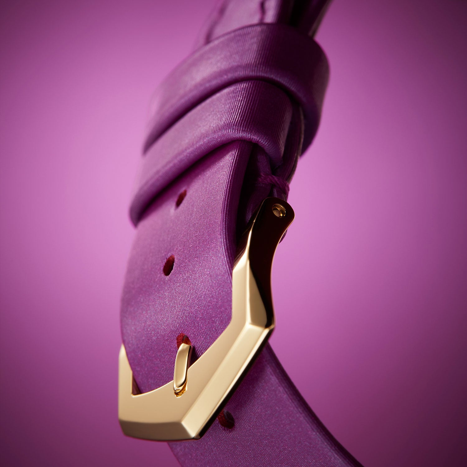 Close-up of a purple strap with a gold buckle on a purple background